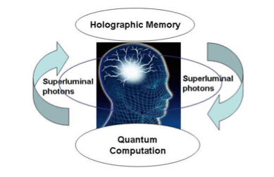 Possible Existence of Superluminal Photons Inside Microtubules and the Resulting Explanation for Brain Mechanism